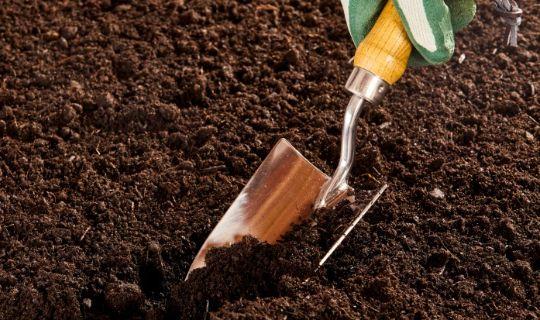 a person digging a shovel in the soil