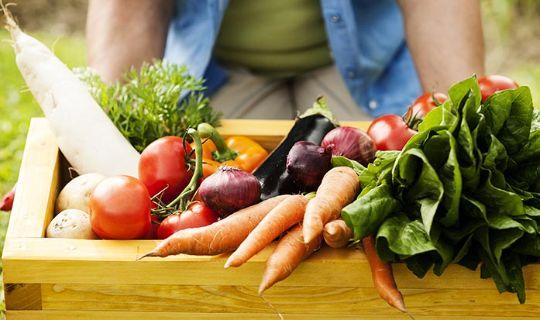 a woman carrying a wooden tray with different kind of vegetables