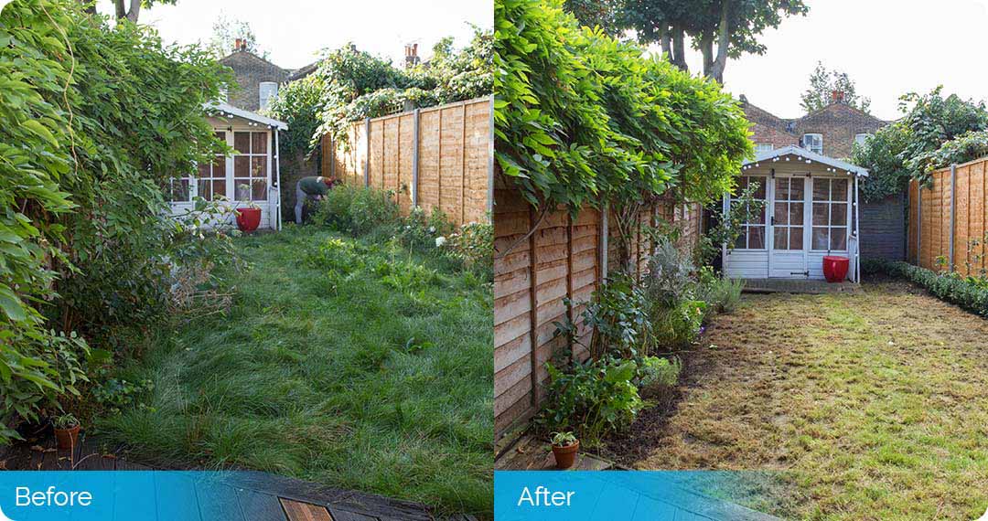 Fantastic Services Overgrown Garden Clearance in London