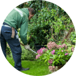 gardening chores Fantastic gardener fixing garden