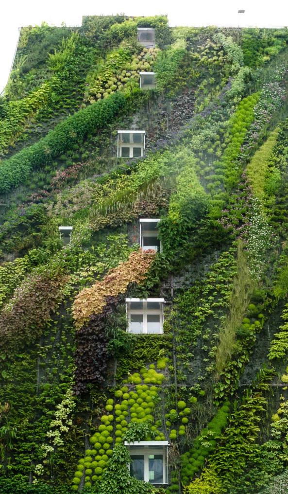 Green Wall Construction in London Fantastic Services