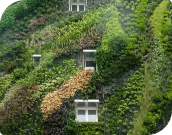 Picture of newly fitted living wall system on a high building