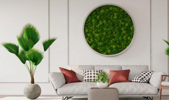 a room with houseplants, moss wall and a nice-looking sofa