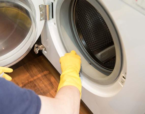 Expert Appliance Cleaning in London by Fantastic Services