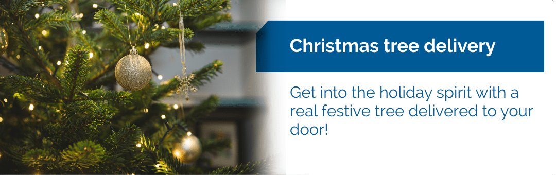 Book Real Christmas Tree Delivery In London Fantastic Services