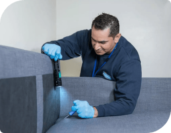 Pest exterminator in dark uniform performing pest inspection for moths