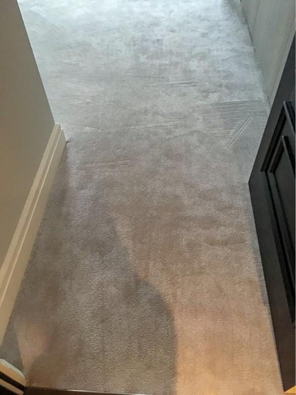 Carpet Cleaning in Bedford TopQuality Carpet Cleaners