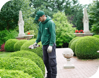 Gardener in green uniform during hedge pruning service.