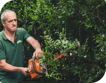 Professional gardener in green uniform, trimming a hedge with an orange hedge trimmer.