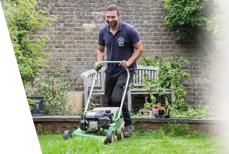 Professional lawn mowing service