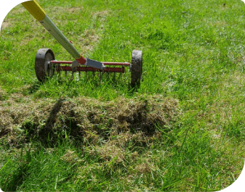 Professional lawn scarification service