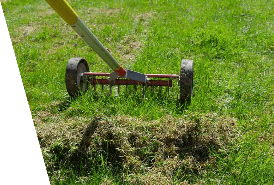 Professional lawn scarification service