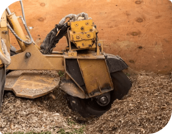 A stump grinder machine removing a tree stump.