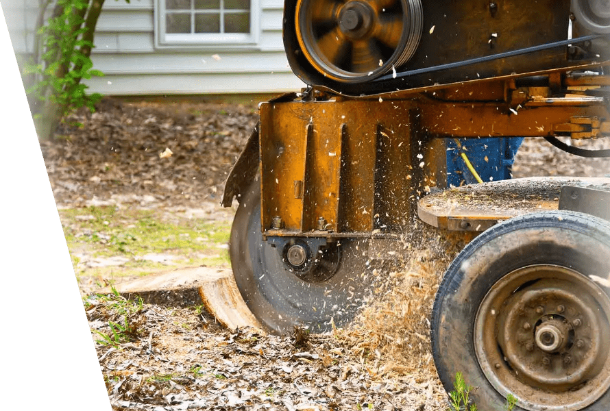 Stump removal and grinding in London