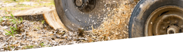 Stump removal and grinding in London