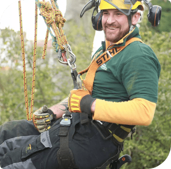 An arborist in safety gear during tree surgery service