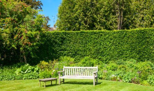 a garden with a neatly trimmed hedge