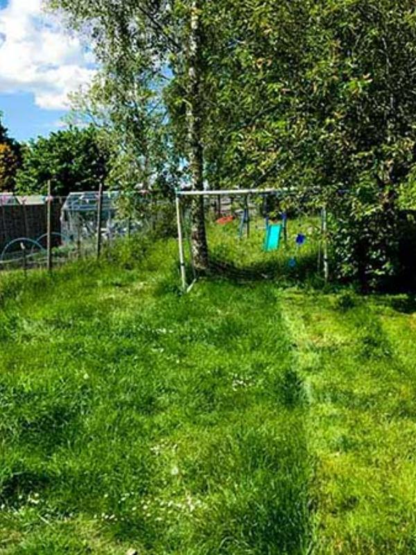 Small residential lawn with tall grass before mowing in London