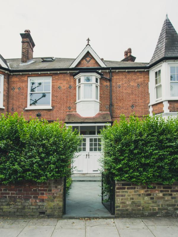 Tall and messy hedge line prior to professional maintenance