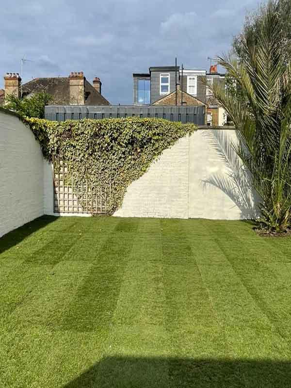 Freshly mowed lawn after professional lawn mowing in London