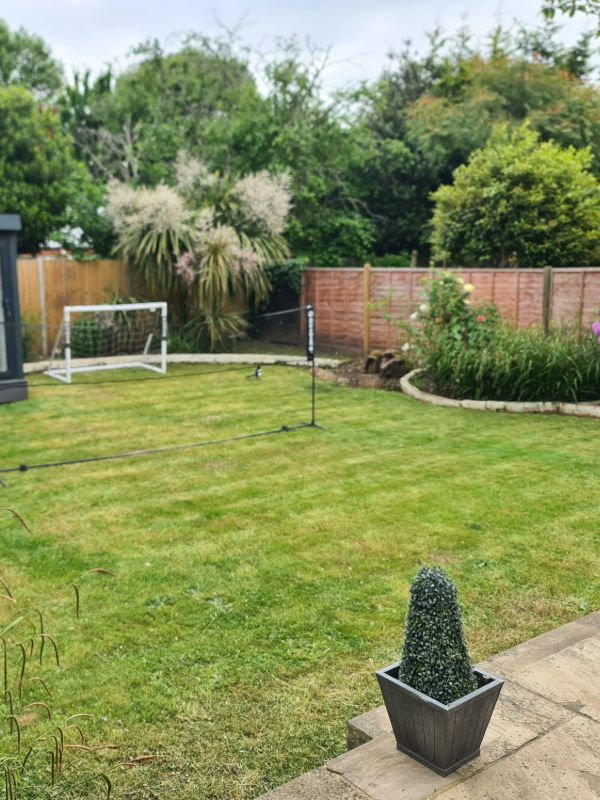 Levelled and healthy-looking lawn after mowing service