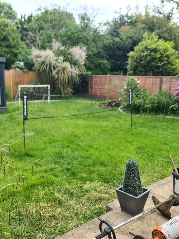 Patchy, uneven lawn in need of mowing and care