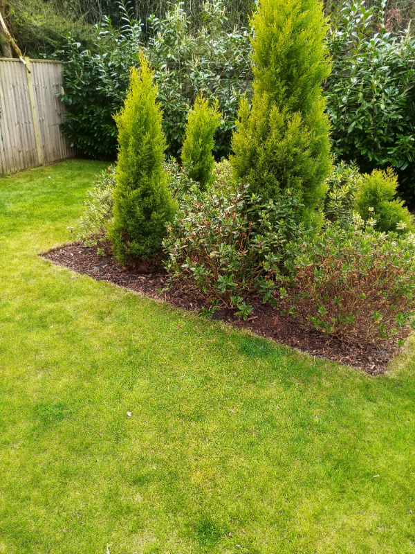 Tidy garden with trimmed grass and clean edges after service