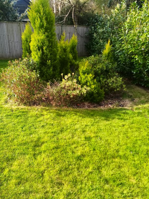 Messy garden with long grass and unclear edges before service