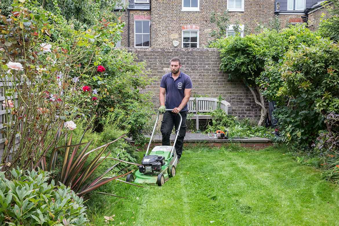 Lawn Mowing Service in London | Fantastic Services