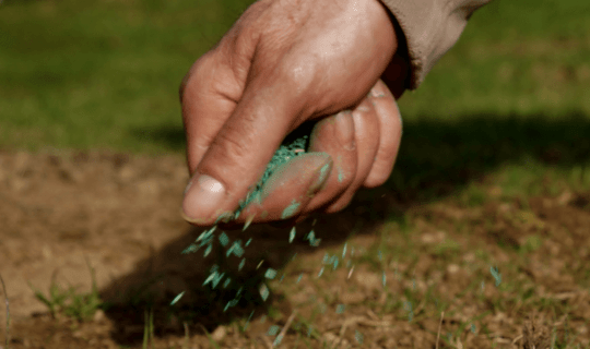 a man's hand laying grass seeds