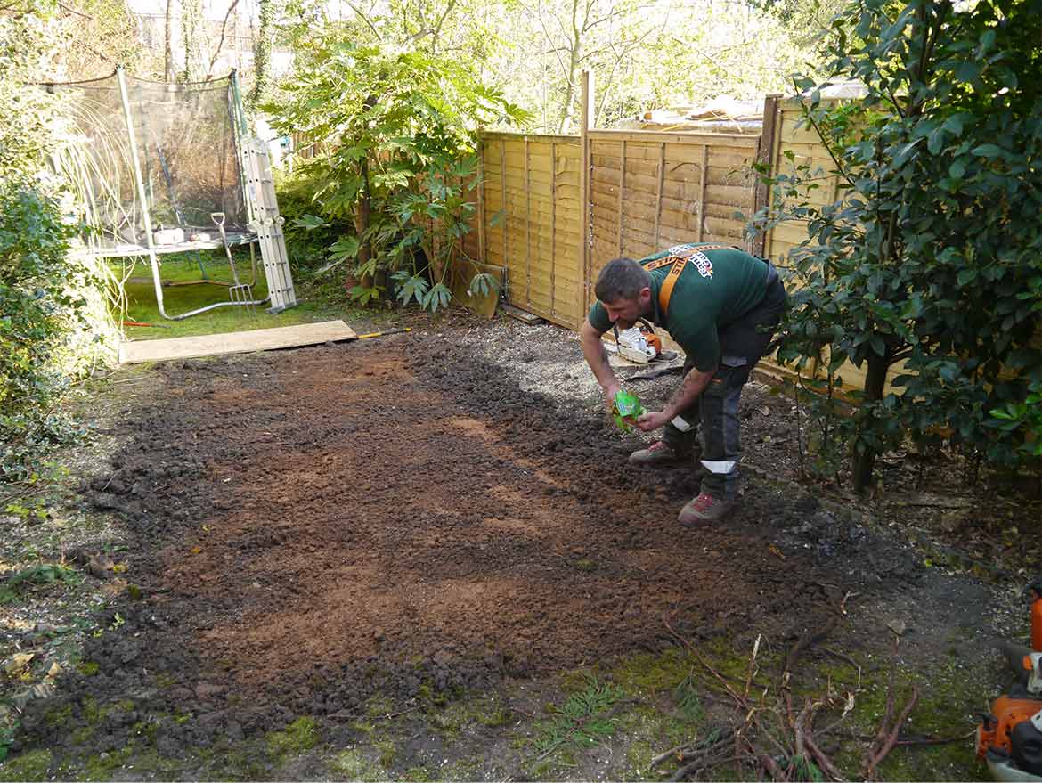 Expert Lawn TopDressing and Overseeding in London Fantastic Services