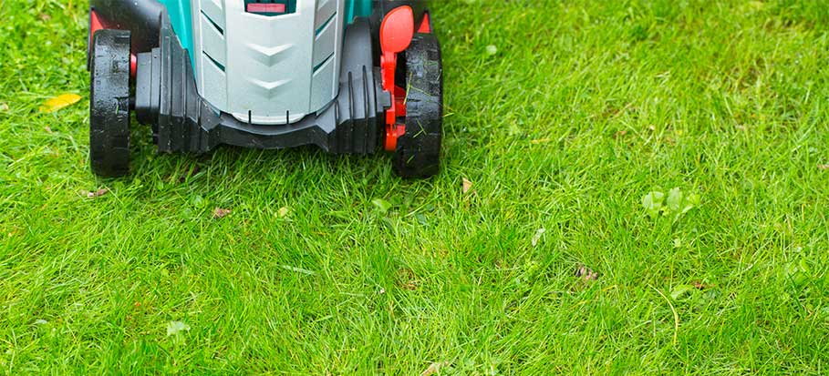 a lawn mower trimming wet grass