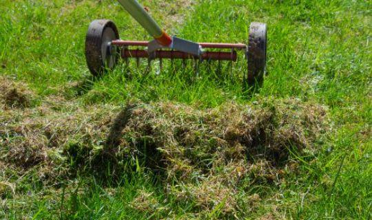 a lawn scarifying tool and a bunch of piled up scarified grass on a lawn