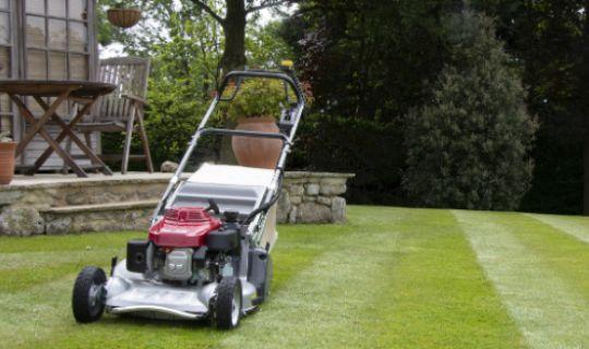 a backyard with a stripped lawn and a lawn mower