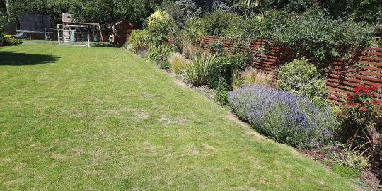 Pro Garden Maintenance Services By Gardeners In Brockley