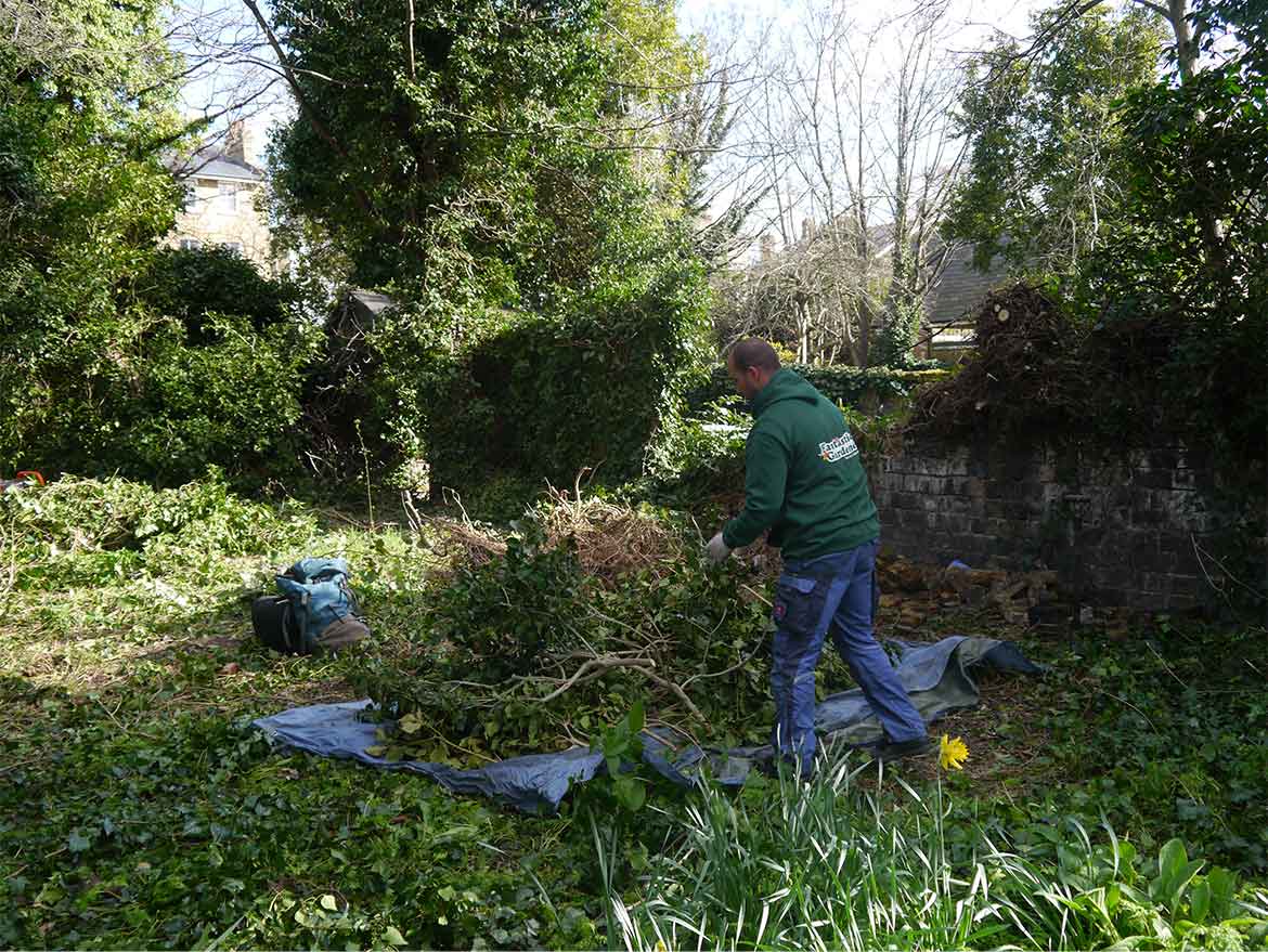 Green Waste Removal Services London | Fantastic Services