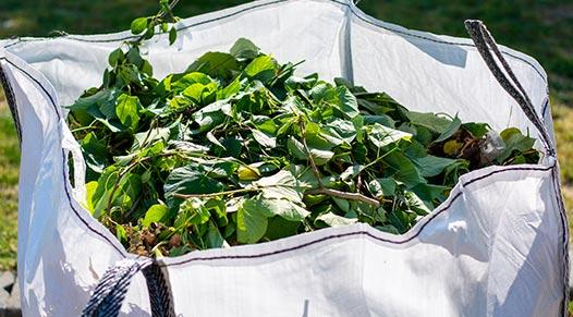 green waste thumb