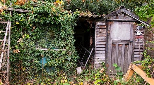 a shed that needs to be cleared