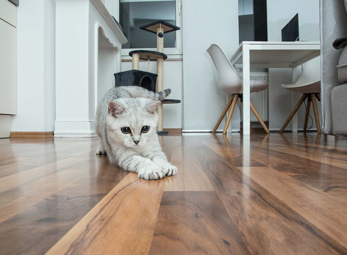 Wood Floor Buffing in London Fantastic Services