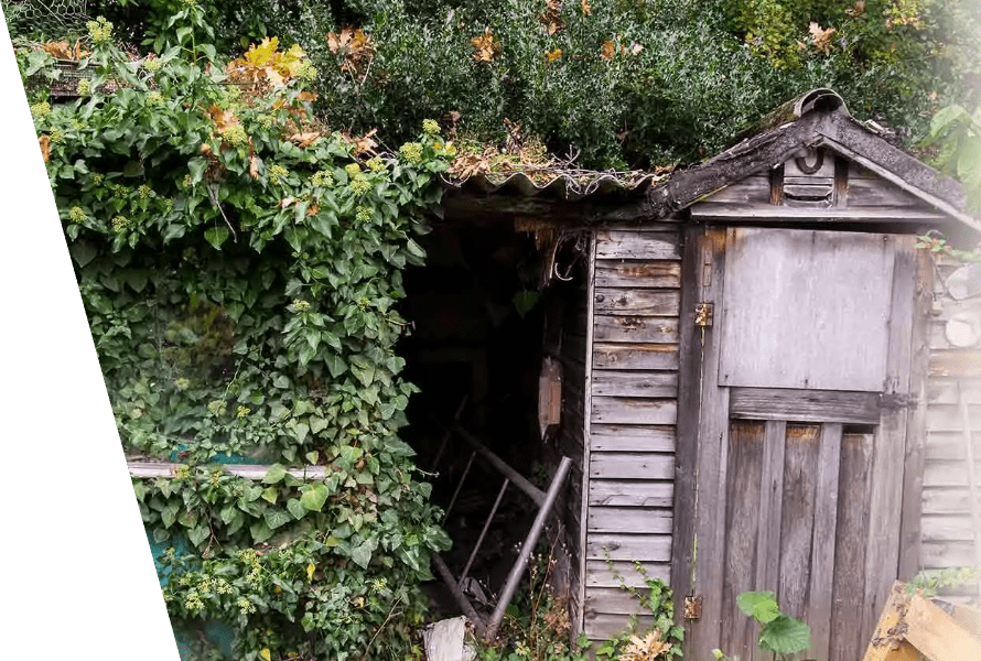 Shed clearance and removal