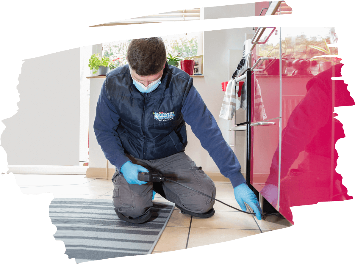 Pest Control Fulham