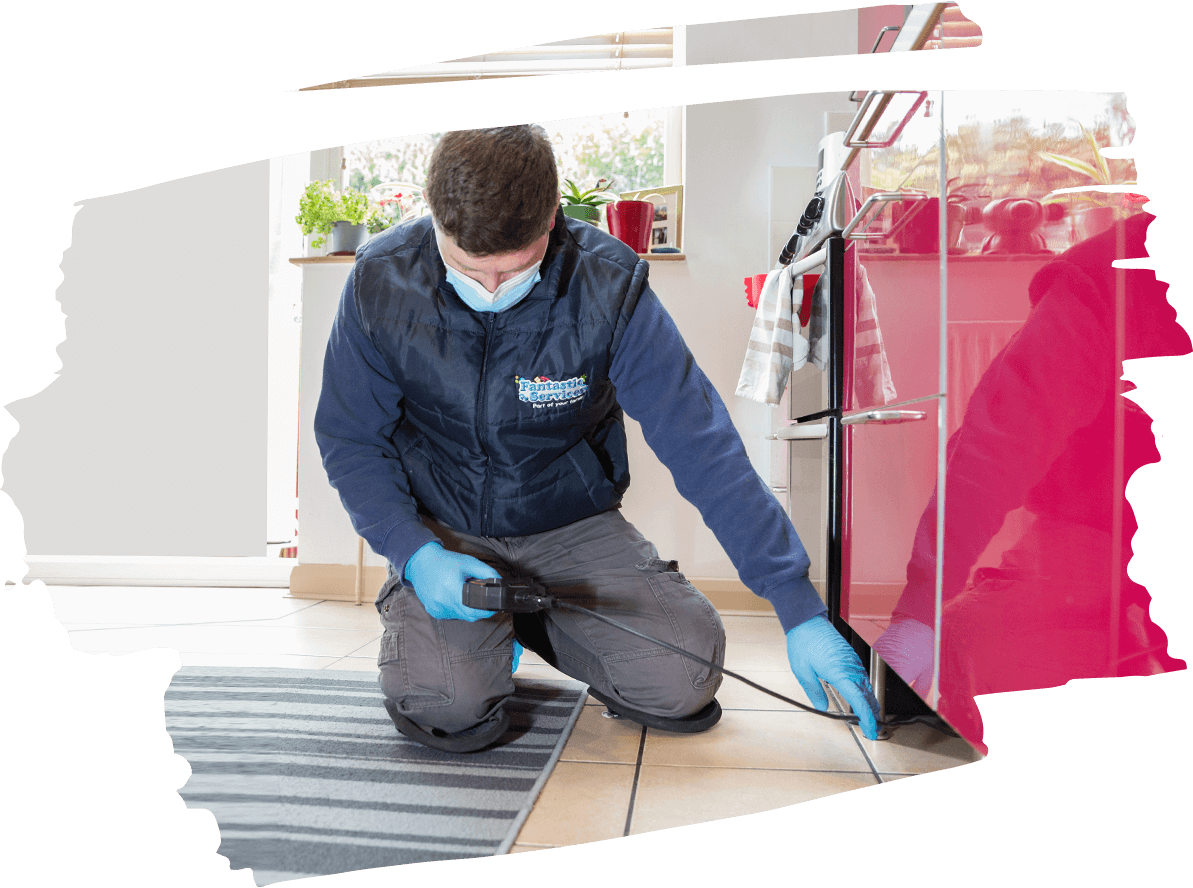 Pest Control East Sheen