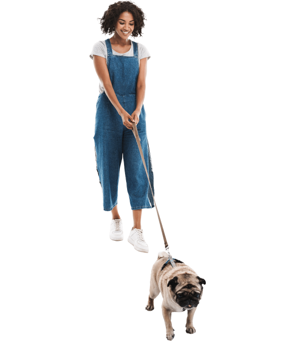 Reliable Pet Care Services Fantastic Services London