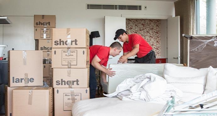 Professional removals team moving boxes during property relocation