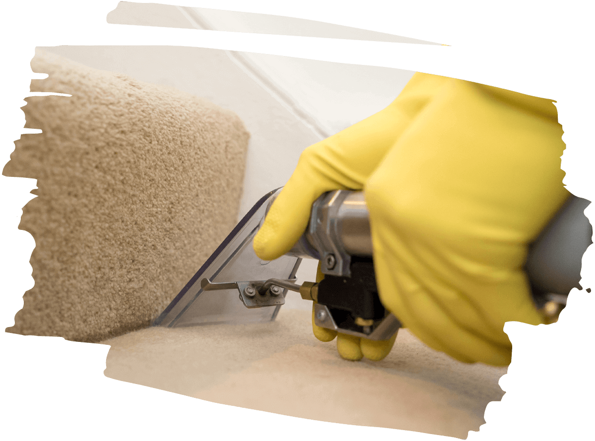 Carpet Cleaning Winscombe