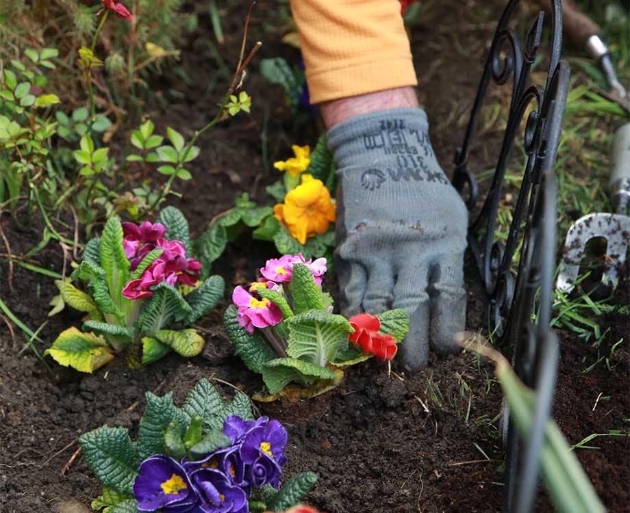 FS-LocalPage-GardenMaintenance-content-2-desktop