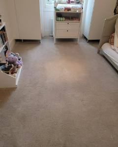 Restored, stain-free carpet after professional deep cleaning