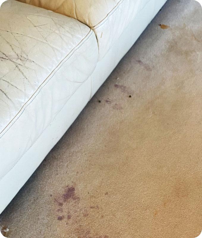 An image of a dirty carpeted floor near a white leather sofa, showing visible stains, dirt, and debris. The carpet appears soiled with mud, spills, and pet hair, and the stains are prominent against the carpet's original colour. The area around the white leather sofa is particularly dirty, with accumulated dirt and grime. The carpet looks in need of thorough cleaning to restore its cleanliness and freshness.