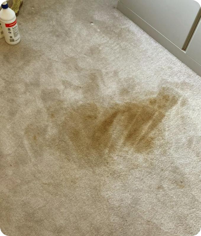 Photograph of a white wall-to-wall carpet with visible dark brown and grey stains spread throughout the surface. The stains appear to have set in deeply, with some areas showing a darker and more saturated colour than others.