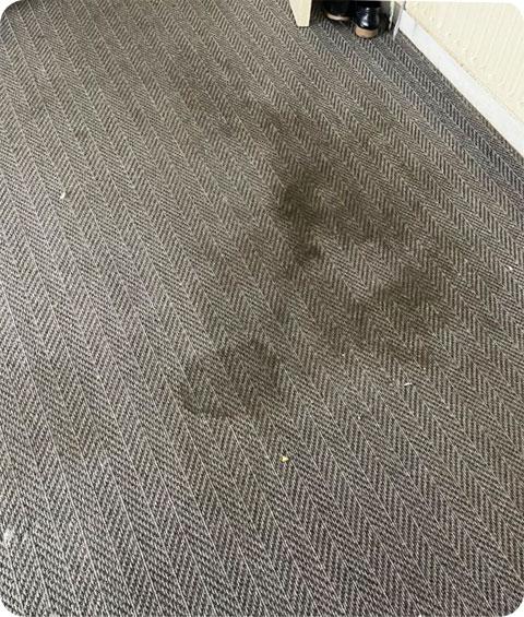 A heavily soiled and stained dark grey carpet before the cleaning process with clearly visible dark brown/black stains.